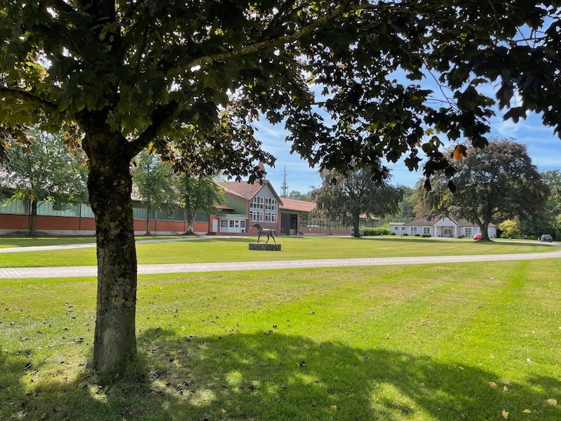 Hofrondell Gut Tangstedt mit Eingang Hofküche im Sommer