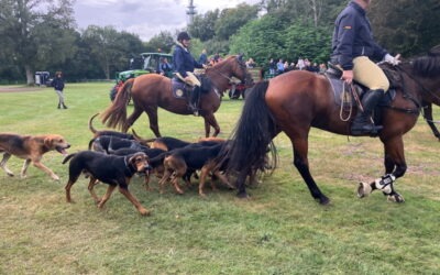 Jagdreiten auf Gut Tangstedt: Meutetraining 2025