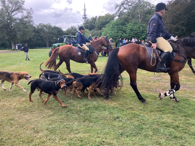 Meute und Reiter Abschluss Meutetraining