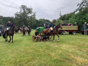 Böhmer Harrier Meute vor Meutetraining