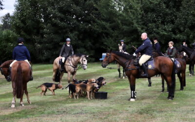 Einladung zum Meutetraining am 13.09.2025