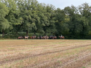 Meutetraining Pause auf Ackerfläche