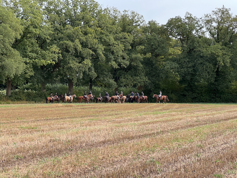 Meutetraining Pause auf Ackerfläche