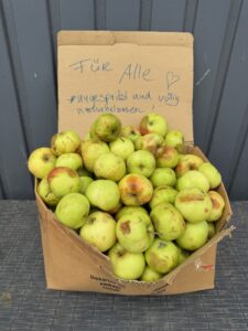 naturbelassene Äpfel für Pferde aus dem Garten