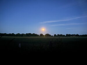 Abenddämmerung mit Vollmond Beekmoorweg Tangstedt