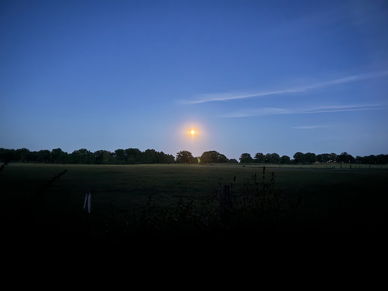 Abenddämmerung mit Vollmond Beekmoorweg Tangstedt
