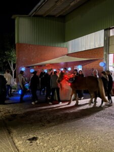 Abendliche Einstellerfeier auf Gut Tangstedt mit geschmücktem Pferd und leuchtenden Laternen
