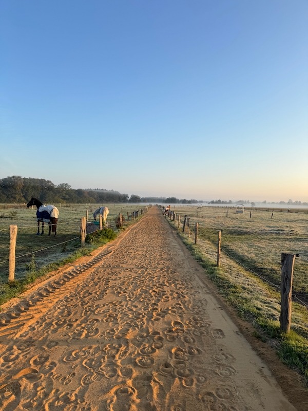 Sandweg zwischen Weiden am frühen Morgen auf Gut Tangstedt, Pferde auf Winterweide bei Sonnenaufgang