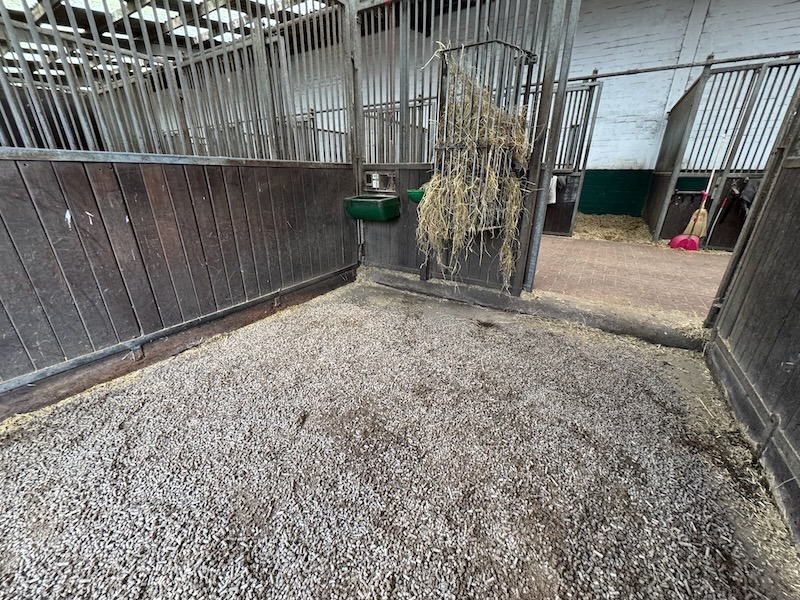 Pferdebox mit Miscanthus-Pellets als Einstreu auf Gut Tangstedt – staubarme, nachhaltige Alternative zu Stroh und Spänen