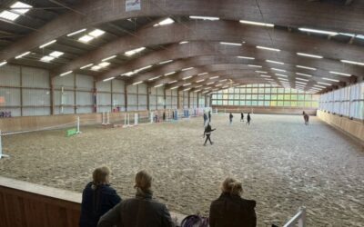 Freispringen für die Pferde auf Gut Tangstedt