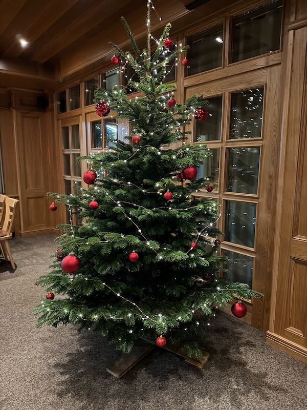 Geschmückter Weihnachtsbaum in der Hofküche auf Gut Tangstedt mit Lichterkette und roten Kugeln
