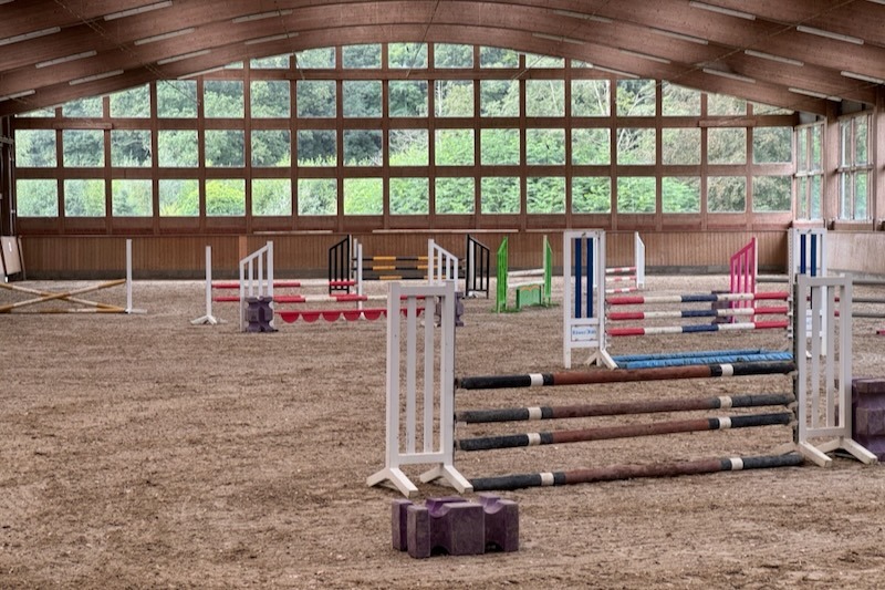Hindernisse Springhalle Großzügige Reithalle mit verschiedenen bunten Springhindernissen auf Sandboden unter einer markanten Holz-Dachkonstruktion.