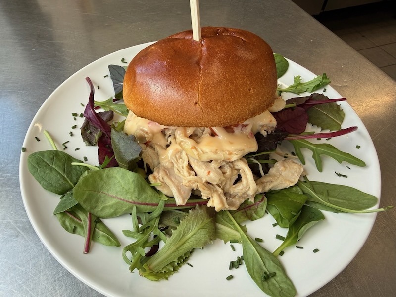 Appetitlicher Pulled Chicken Burger auf einem Bett aus gemischtem Blattsalat, serviert auf einem wei&szlig;en Porzellanteller.