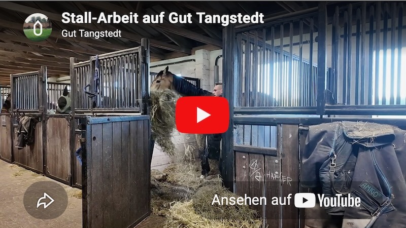 Screenshot von einen YouTube-Video über die Stallarbeit auf der Reitanlage Gut Tangstedt.