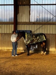Pferd mit goldener Rettungsdecke beim taktilen Training mit seiner Reiterin10pferdespielplatz-hula-hoop-ringe.jpegPferd mit Rettungsdecke schnuppert an bunten Hula-Hoop-Ringen