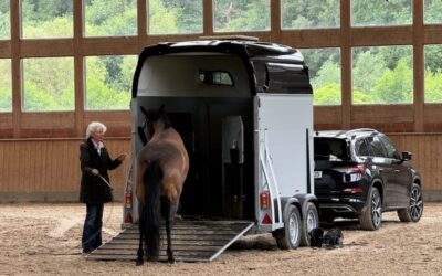 Lehrgang Sensitives Pferdetraining mit Ellen Stoffel