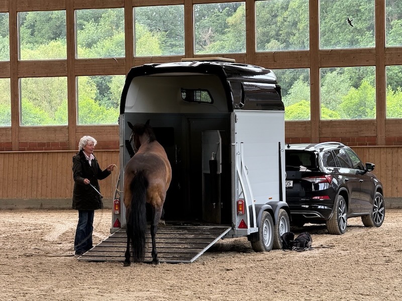 Ellen Stoffel beim Verladetraining mit einem Pferd in der Reithalle von Gut Tangstedt.