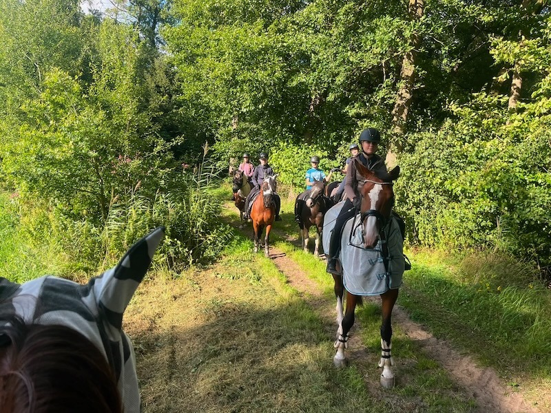 Jugendreitgruppe auf Ausritt in einer Reihe hintereinander auf einem Feldweg zwischen Bäumen, im Vordergrund ein Pferd mit Fliegenmaske und Abschwitzdecke.