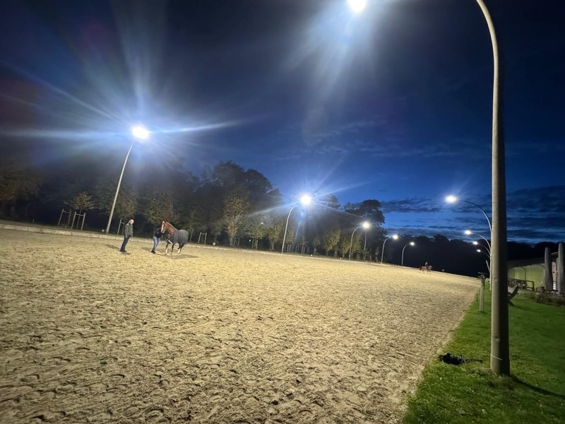 Beleuchteter Außenplatz von Gut Tangstedt in der Abenddämmerung: Flutlichtmasten über dem Sandplatz, zwei Personen mit einem eingedeckten Fuchs, im Hintergrund eine Reiterin und Baumreihen